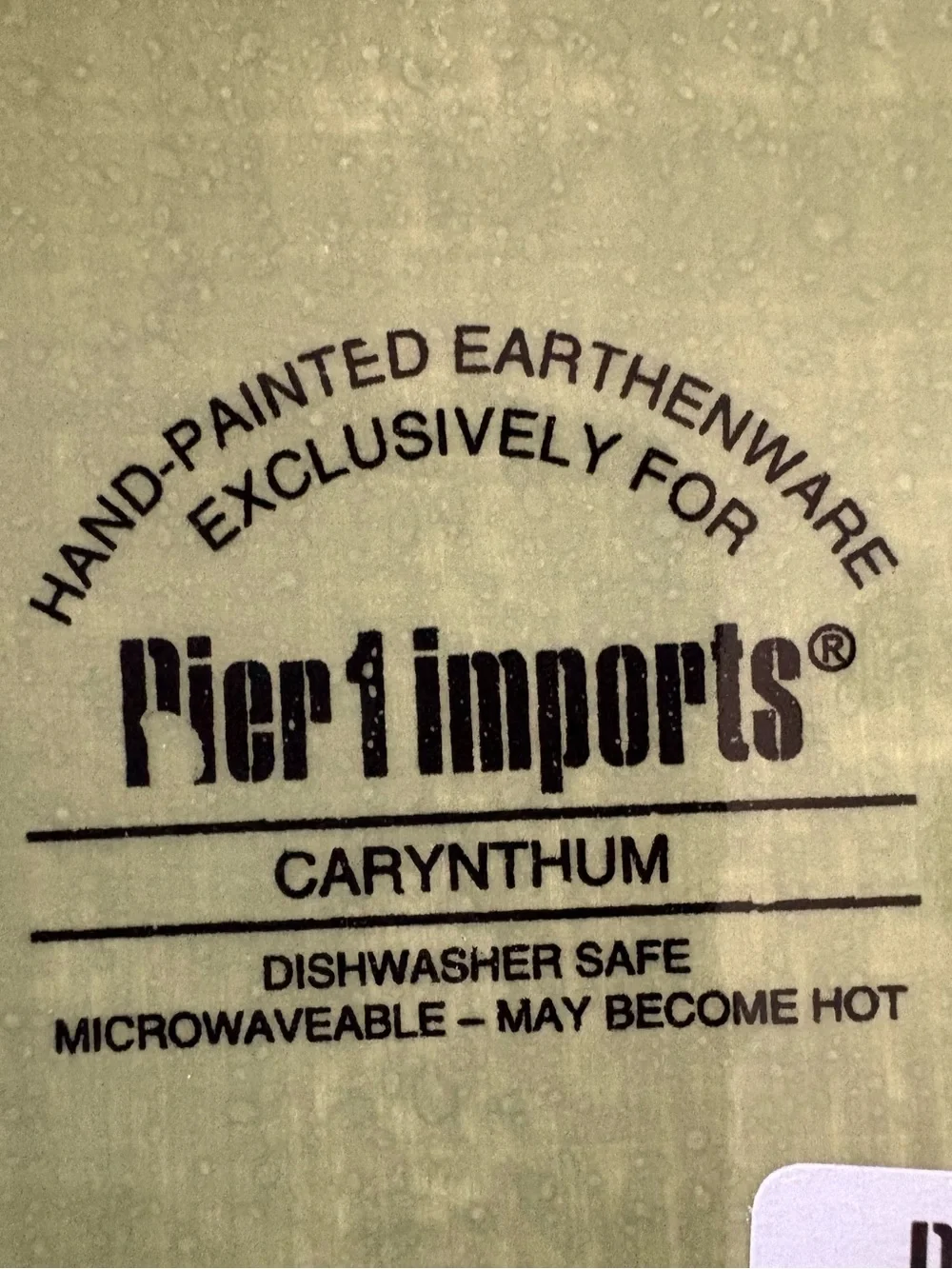 Pier 1 (Set of 2 ) Carynthum Square Salad Plate Discontinued Pattern